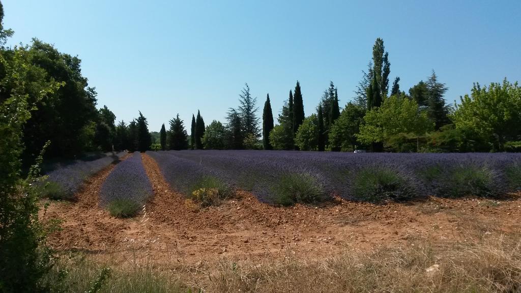 Residence Les Rossignols Roussillon en Isere Eksteriør billede