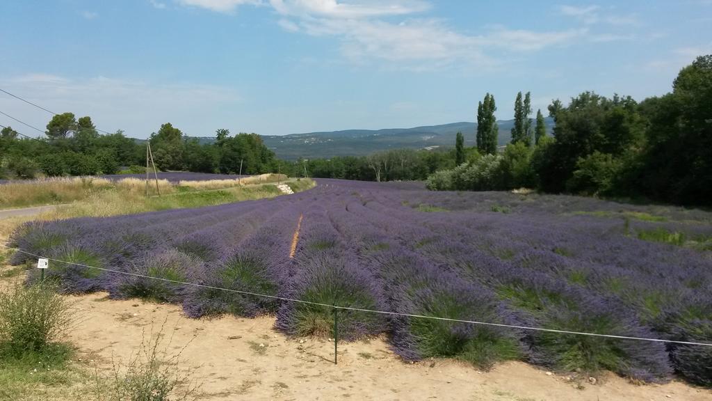 Residence Les Rossignols Roussillon en Isere Eksteriør billede